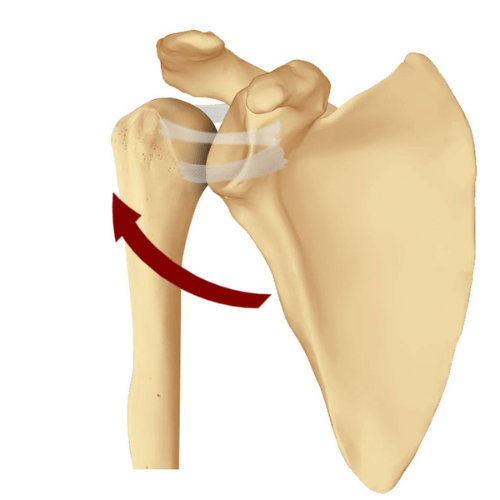Posterior shoulder instability with the humeral head displaced backward from the glenoid fossa.