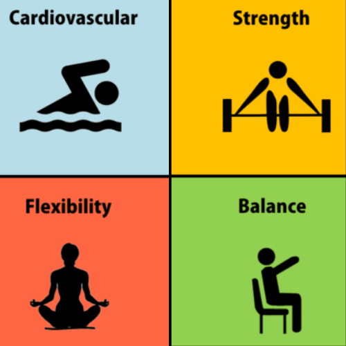Graphic showing four types of exercise: cardiovascular activity, strength training, flexibility, and balance exercises.